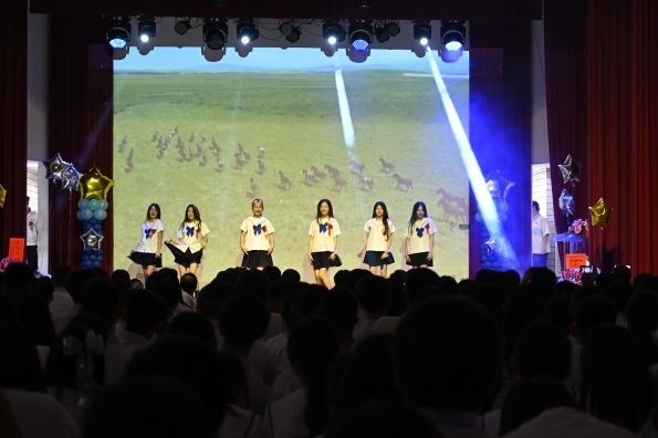 1130531A061